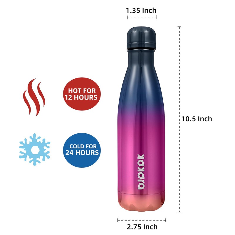 BJPKPK Insulated Water Bottle 17oz Stainless Steel Water Bottles Metal