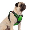 rabbitgoo Dog Harness Small Sized, No Pull Dog Vest with
