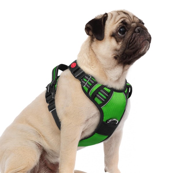 rabbitgoo Dog Harness Small Sized, No Pull Dog Vest with