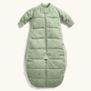ErgoPouch Sleep Suit Bag 2.5 Tog - Willow, 2-4 Years