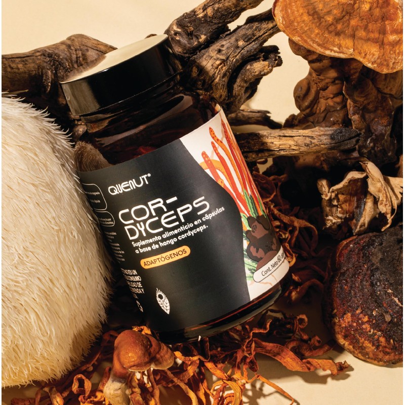 QUENUT | Adaptógeno Orgánico de Hongo Cordyceps en Cápsula Vegana