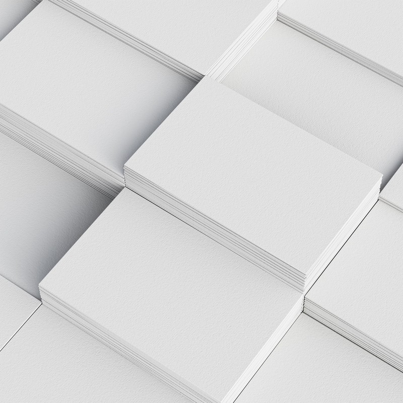 Blank Business Cards 350gsm (100)