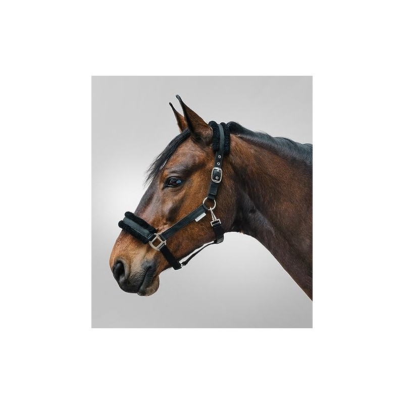 WALDHAUSEN First Headcollar VB, Black