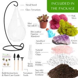 Creations by Nathalie - 7" Teardrop Glass Succulent Terrarium Kit for Kids and Adults, Reindeer Moss, Crystal & Rocks, Tools, Figurine, Metal Hanger (Live Plant Included)