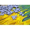 Springbok's 1000 Piece Jigsaw Puzzle Collector's Closet
