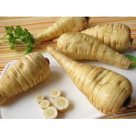 CEMEHA SEEDS - Seeds Wild Parsnip Non GMO Vegetable for Planting