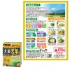 Nihon Waken 100% Pure Domestic Barley Grass Leaf Powder, 46