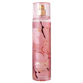 Aeropostale Artistic Collection, Blushing, 8 Fl Oz