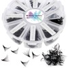 Premade Fans Eyelash Extension 500 Fans 30D 0.07mm D Curl