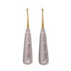 Wise Instruments Surgical Elevator Small Cryer Set of 2 East
