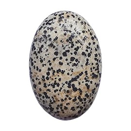 Manekieko Speckle Worry Stones Oval Palm Pockets Healing Crystal Massage Spa Energy Stone