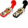 Frienda 2 Pieces Quick Release Battery Terminals Clamps Negative and