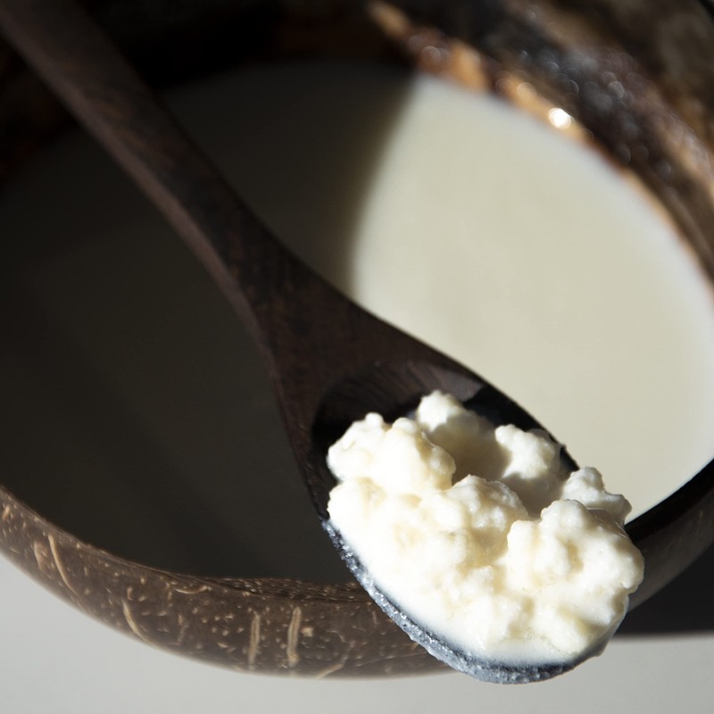 Live Kefir Company, Live Milk Kefir Grains. UK Starter Culture,