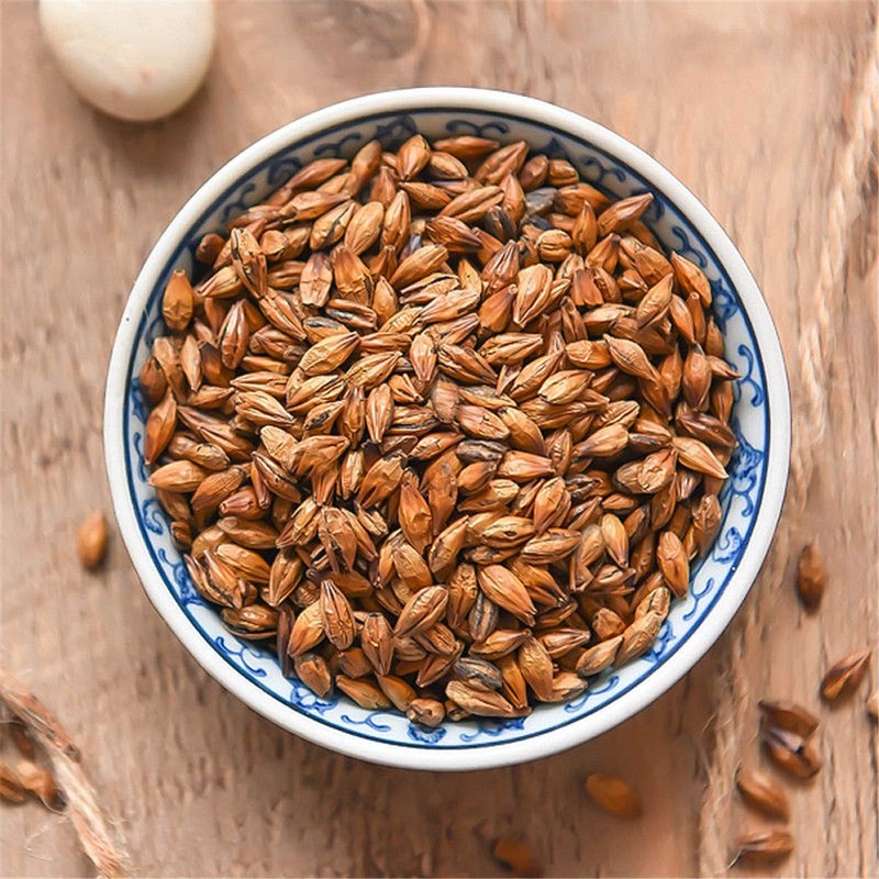 Roasted Barley Tea Itoen Japanese Mugicha Roasted Barley Tea Mugicha