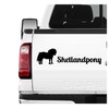Shetland Pony Mini Horse Sticker Set of 3 Horse Riding