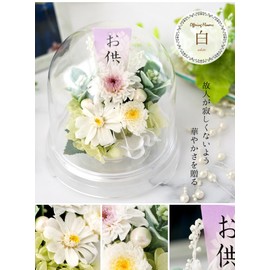 Hanayu Offering Buddha Flower Preserved Flower Clear Dome Arrangement Flower White ver