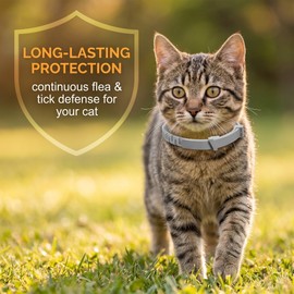 2 Collare Antipulci per Gatti, Collare Antiparassitario Sicuro ed Efficace, in Grigio, Accessorio per Animali Domestici, Protezione Gatti