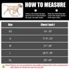 Service Dog Vest Harness and Leash Set, Animire in Training