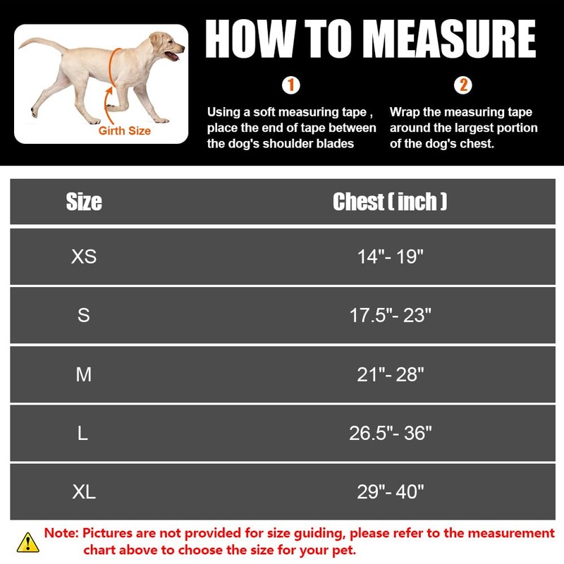 Service Dog Vest Harness and Leash Set, Animire in Training