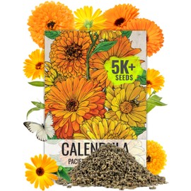 Seed Needs Calendula Seeds Pacific Beauty Mix | 5,000+ Seeds Calendula Officinalis Non-GMO Annual | Large Orange Yellow Blooms Garden Variety Favorite | Bulk Wildflower Seed