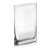 CYS Excel Jarrón de vidrio para libro (altura: 30 cm,
