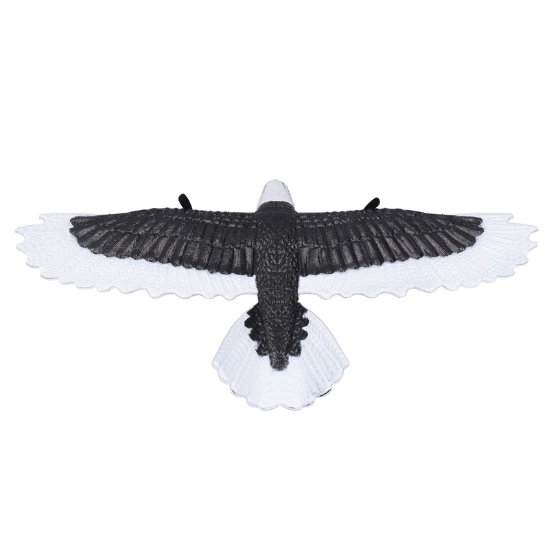 Bird Plane Toy 2 Channels Broken Resistant Remote Control Bird