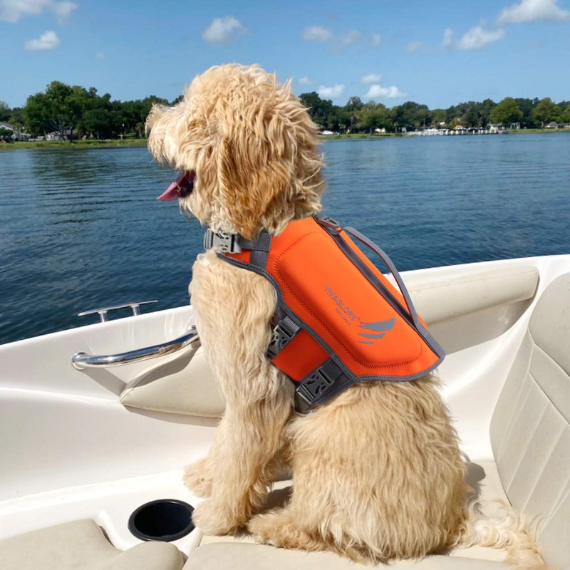VIVAGLORY High Buoyancy Dog Life Vest, Swimming Vest with Handle,