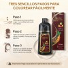 Kaisasa Shampoo Con Tinte Cubre Canas Matizador 2 Pzs