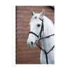 Y-H Hy Market Harborough-Black Cob/Full