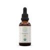 HerbEra Mistletoe B60 USDA Organic Tincture | Alcohol-Free Extract, High-Potency