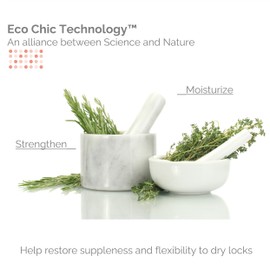 GIOVANNI ECO CHIC 50:50 Balanced Hydrating Clarifying Shampoo - Leaves Hair pH Balanced for Over-Processed Hair, Provides Moisture & Protection, Salon Quality, No Parabens - 8.5 oz (3 Pack)