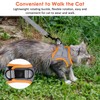 FAYOGOO Cat Harness and Lead Set, Cat Harness for Walking