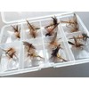 BestCity Fly Fishing DRY FLY WICKHAMS FANCY Set of 16