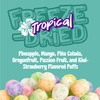 Freeze Dried Tropical Gummy Bears, Crazy Candy Maui Munchers -