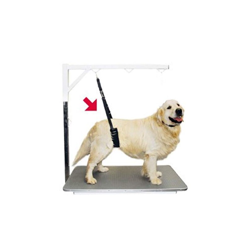 Show Tech Groomer Strap for Small Dogs