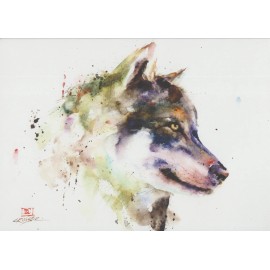 Paper Destiny Colorful RainBow Watercolor Wolf Bookshelf Decor Blank Note Greeting Card