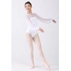Dance Elite Aisling Mesh Shoulder and Sleeves Dance Leotard For