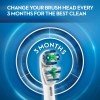 Oral-B Dual Clean Replacement Electric Toothbrush Head, 3 Count