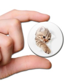 Fridge Magnet with Funny Cat Motif "Cat Breaks Through " Magnetic Board Magnets Colourful Strong Large Round 50 mm