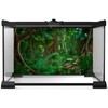Riivvdise Forest Terrarium Background Tropical Rainforest Aquarium Background Huge Tree