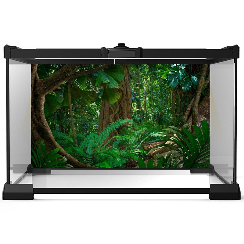 Riivvdise Forest Terrarium Background Tropical Rainforest Aquarium Background Huge Tree