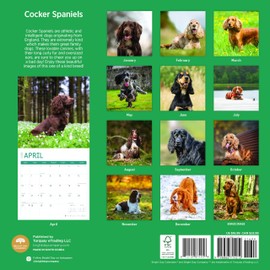 2025 Cocker Spaniels Monthly Wall Calendar by Bright Day, 12 x 12 Inch Cute Dog Breed Gift