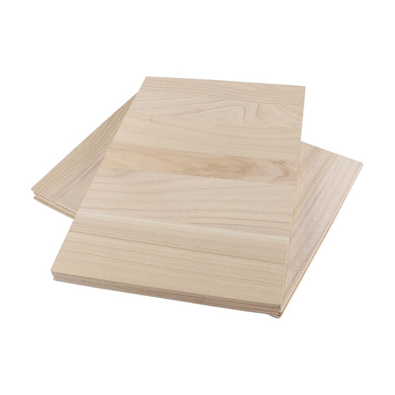 Nicear Premium Taekwondo Breaking Boards Set - 10 Pack Rebreakable