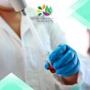 Clorofila liquida concentrada, Botella con 500mg, CL500, MODERN RESEARCH