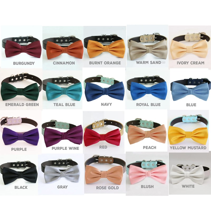 Dog Bow Tie ring bearer collar, Pet accessory, puppy lovers,