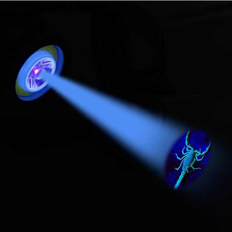 LED Headlamp 395nm UV Blacklight and White Light Spot Scorpions