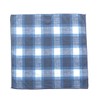 Toray Toraysei Cleaning Cloth, 9.4 x 9.4 inches (24 x