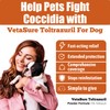 VetaSure Dewomer Toltrazuril 5.0% for Cats and Dogs for Giarci,