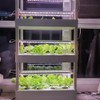 Hydroponics machine lamp set EU