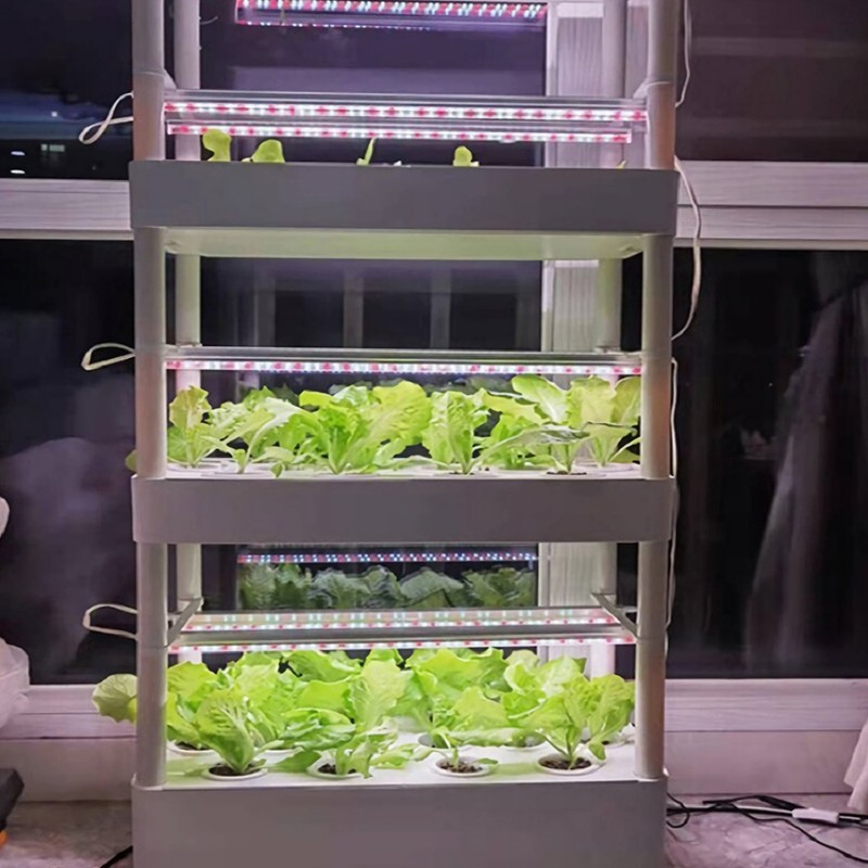 Hydroponics machine lamp set EU